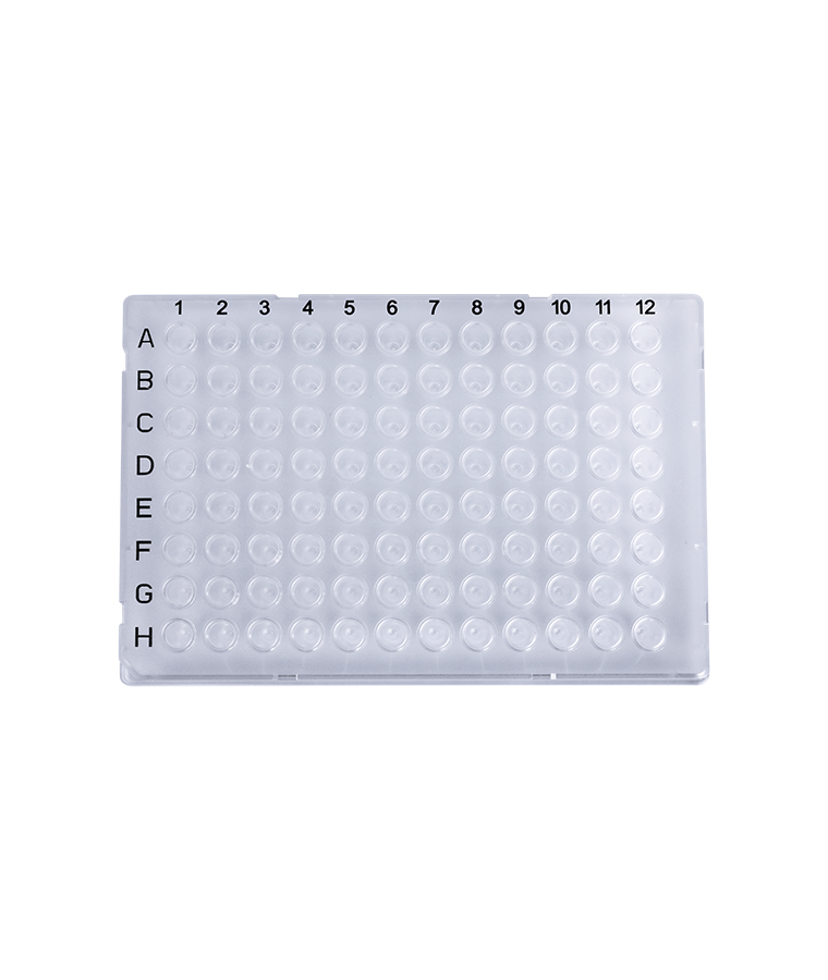 PCR20-C-96-FS-BC Plaque PCR transparente à 96 puits à jupe complète de 0,2 ml