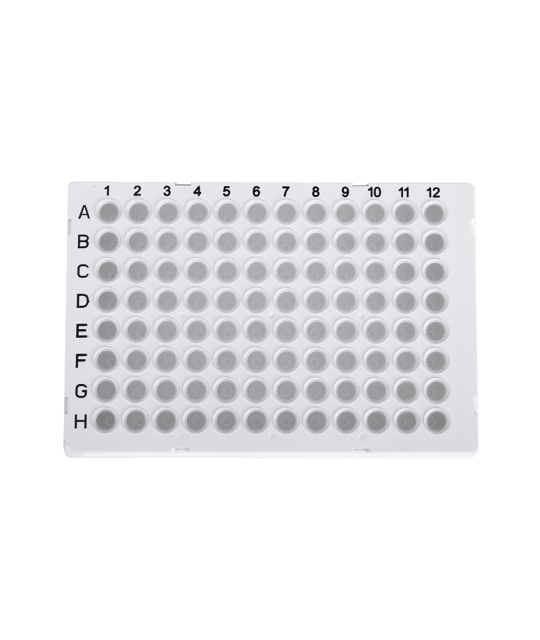 PCR20-C-96-FS-BR Plaque PCR transparente 96 puits à jupe complète pour Biorad